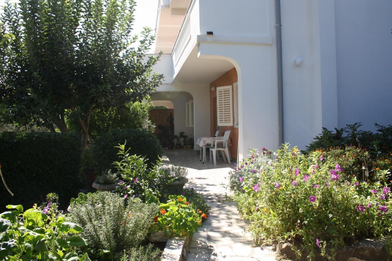 Apartments Sandra Palit Extérieur photo